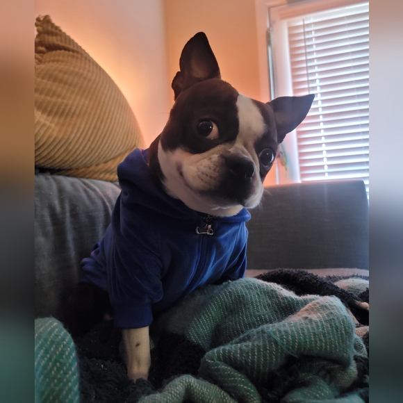 Hey y'all, I'm Bethney 👋 - Picture 5 of 6